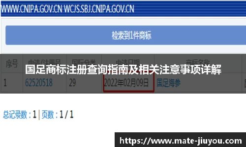 国足商标注册查询指南及相关注意事项详解